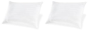 Zephyr 2.0 Pillow (Set of 2)(9/Case)